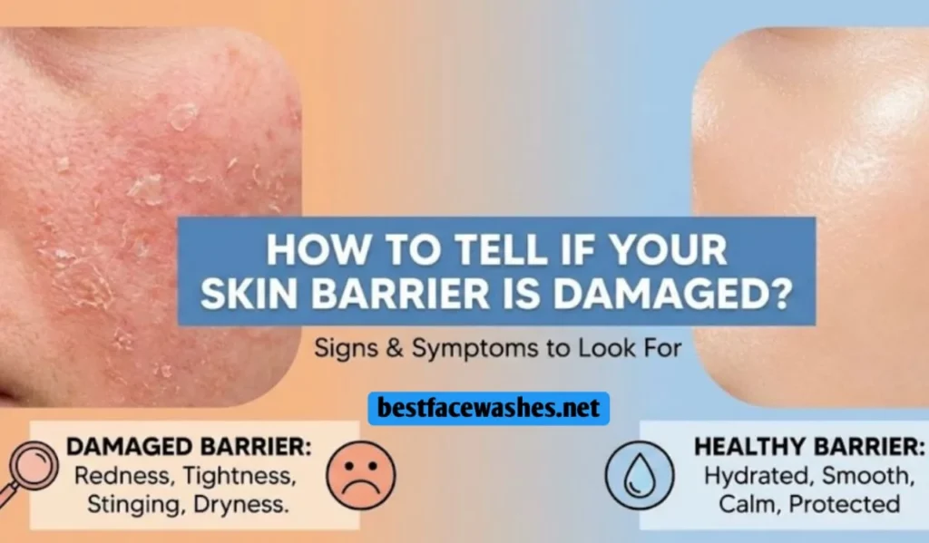 How Face Wash Affects Skin Barrier